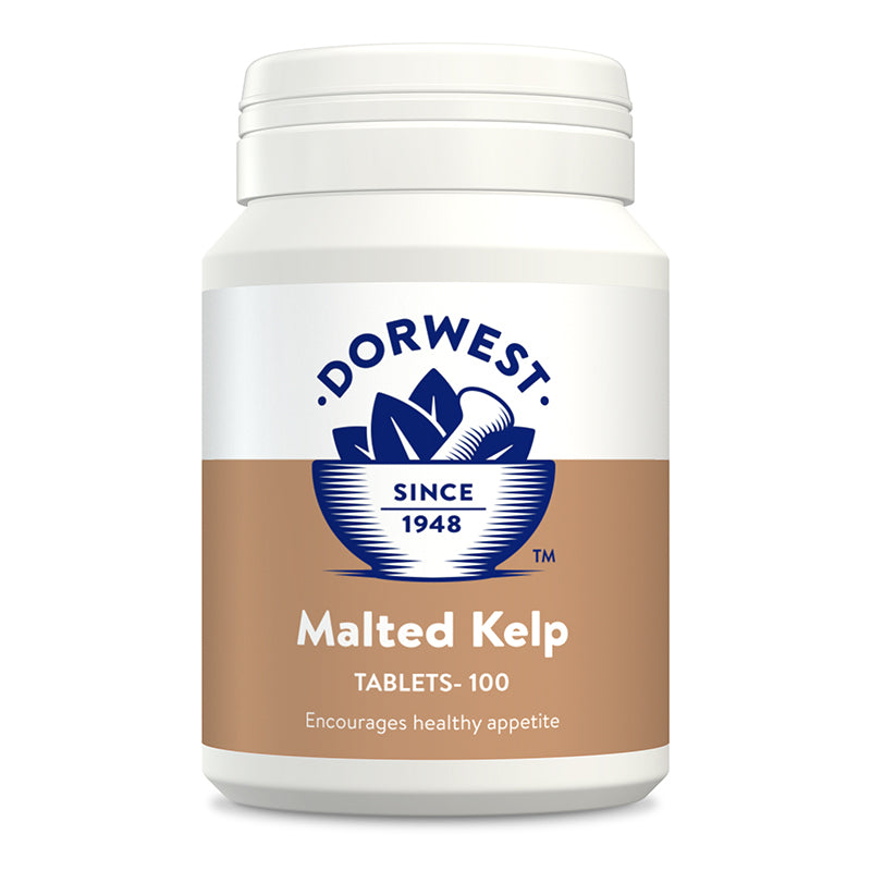 Dorwest Malted Kelp Tablets - 100 stk.