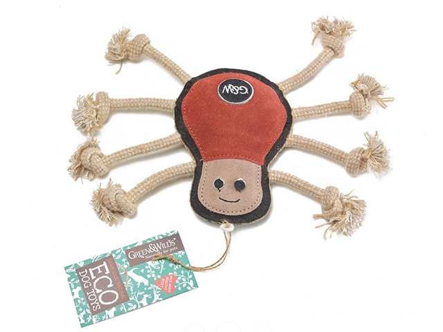 Green & Wilds Spike the Spider