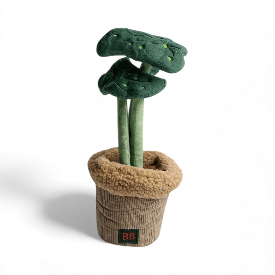 B&B Pawtanic Garden Plante