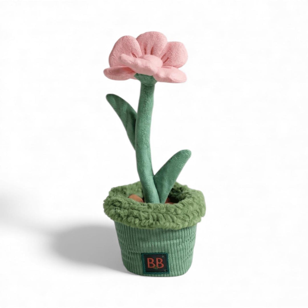 B&B Pawtanic Garden Blomst