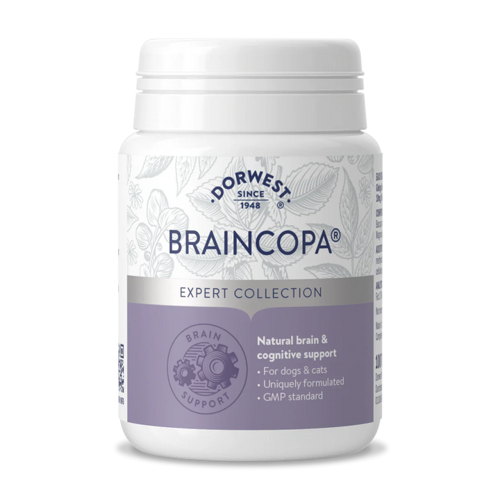 Dorwest BrainCopa Tablets