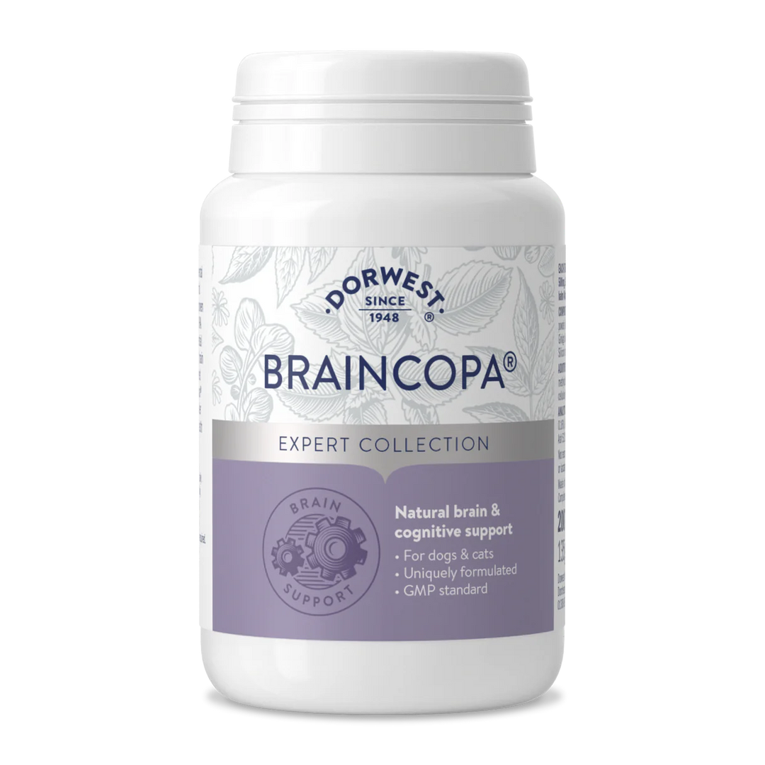 Dorwest BrainCopa Tablets