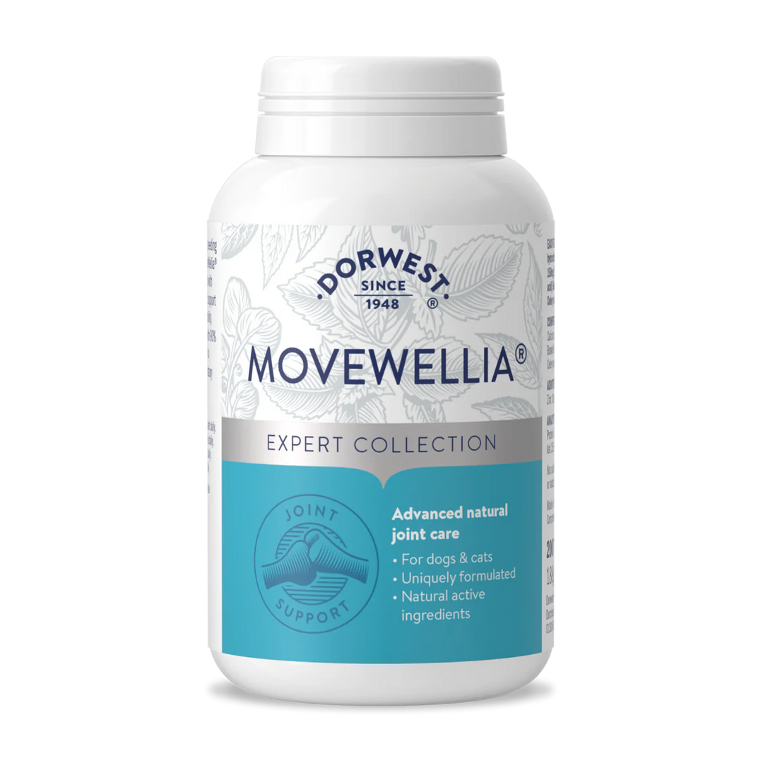 Dorwest MoveWellia