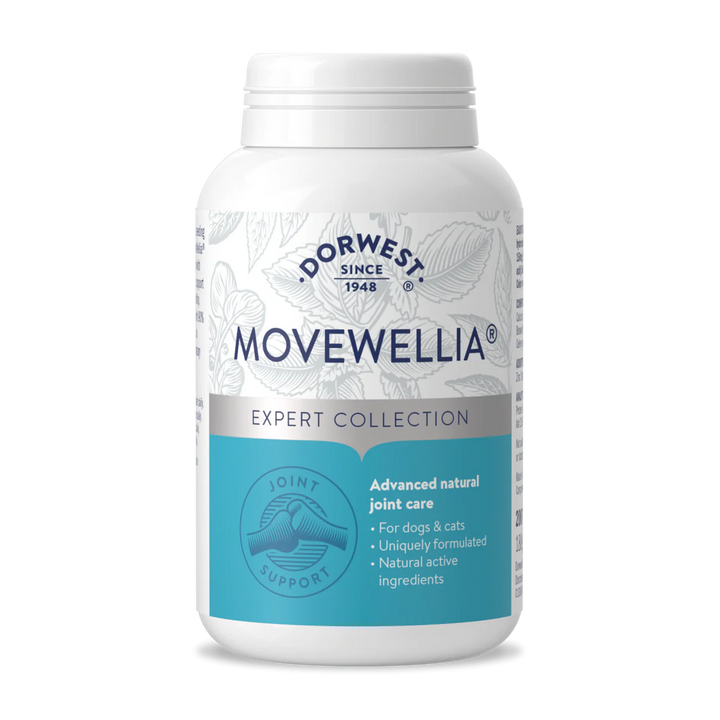 Dorwest MoveWellia