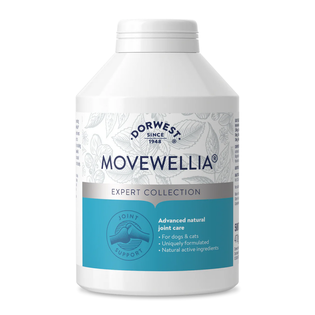 Dorwest MoveWellia