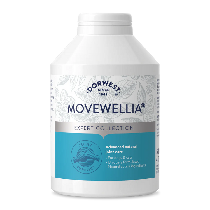 Dorwest MoveWellia