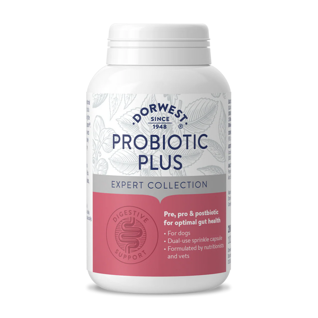 Dorwest Probiotic Plus