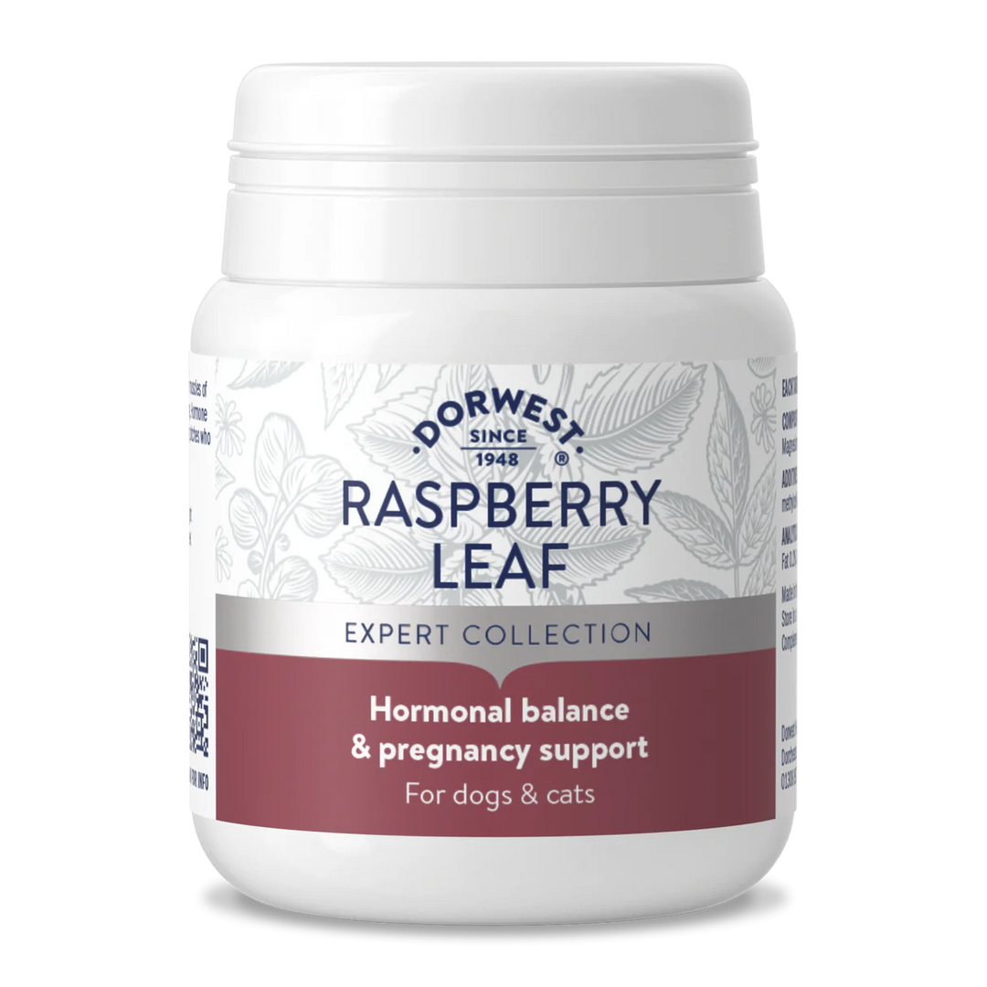 Dorwest Raspberry Leaf Tablets