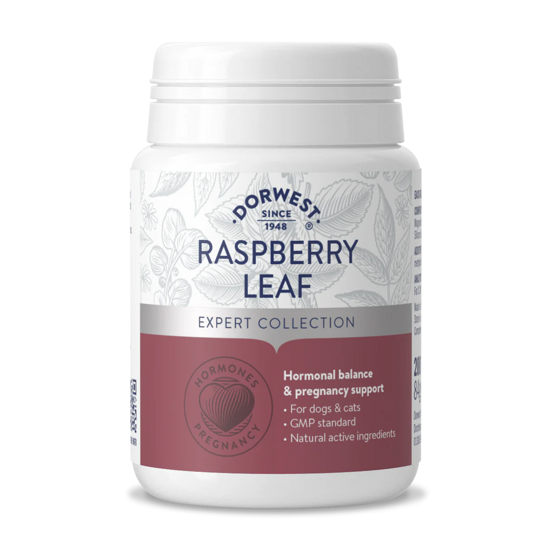 Dorwest Raspberry Leaf Tablets