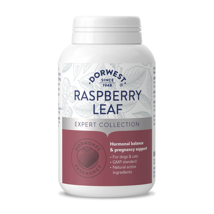 Dorwest Raspberry Leaf Tablets