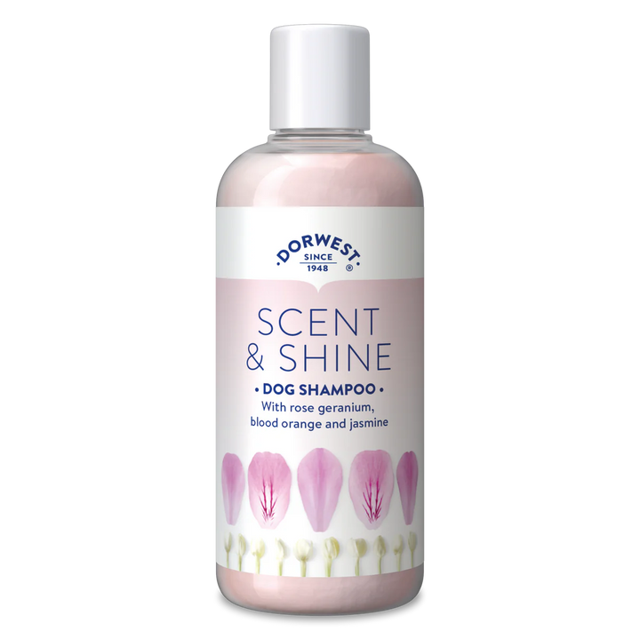 Dorwest Scent & Shine Shampoo