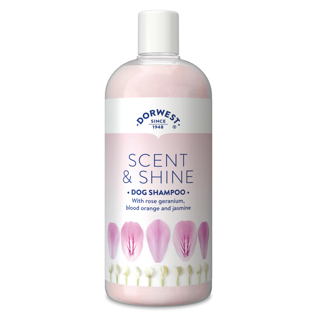 Dorwest Scent & Shine Shampoo