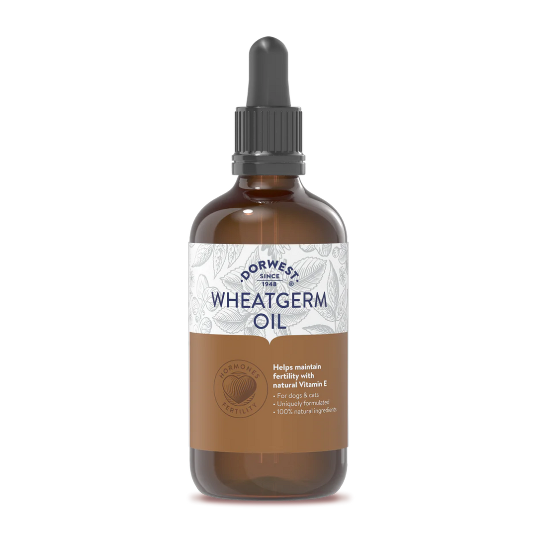 Dorwest Wheatgerm Oil - 100 ml