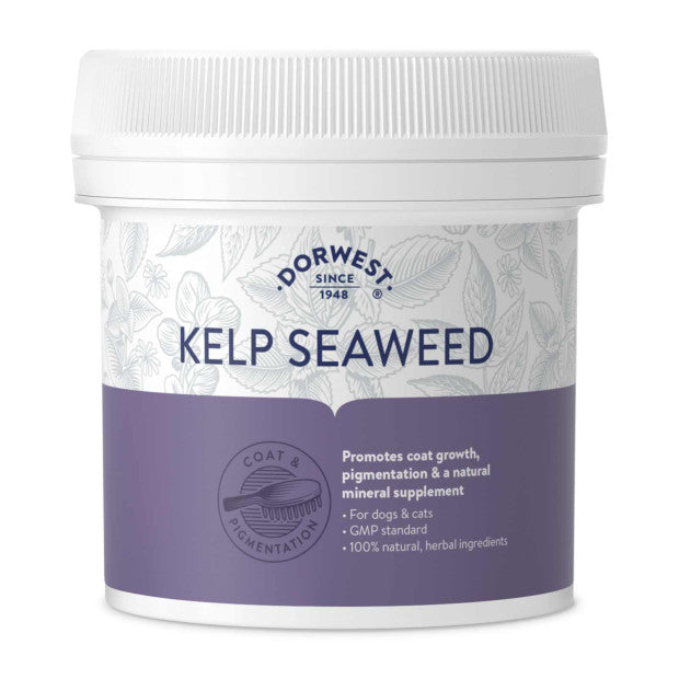 Dorwest Kelp Seaweed Powder