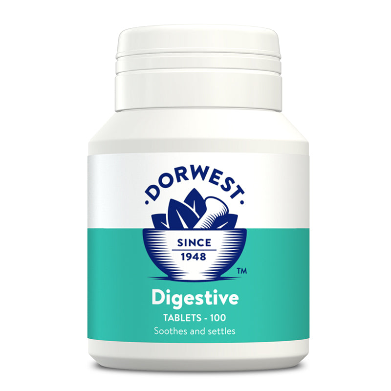 Dorwest Digestive Supplement Tablets