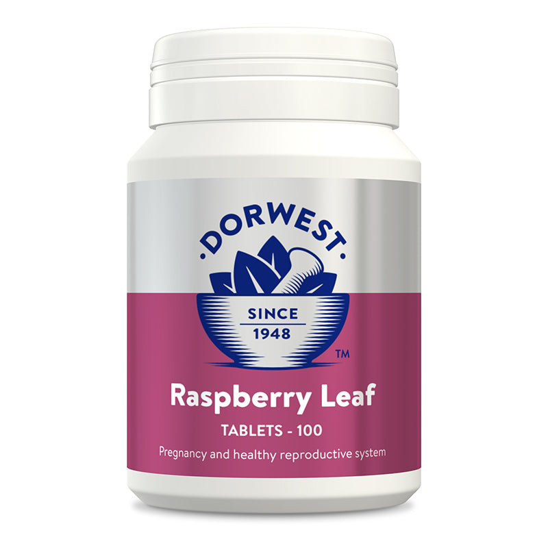 Dorwest Raspberry Leaf Tablets