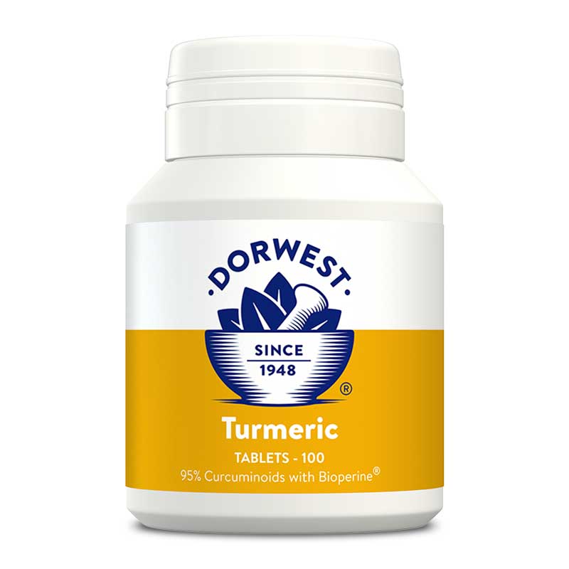 Dorwest Turmeric Tablets