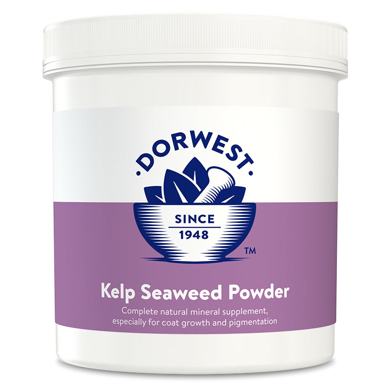 Dorwest Kelp Seaweed Powder