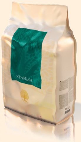 Essential Stamina Small Size - 3,0 kg